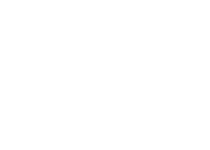 Ele